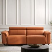 Electric Luxe Sofa + leather sofa + liqana
